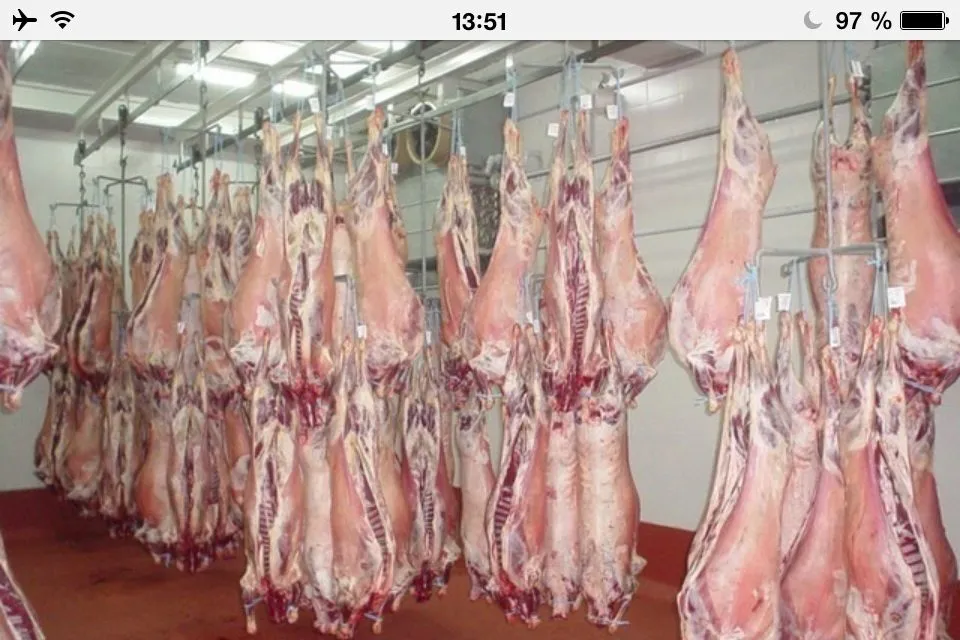 фотография продукта Оптовый поставщик мясо баранины 1кат