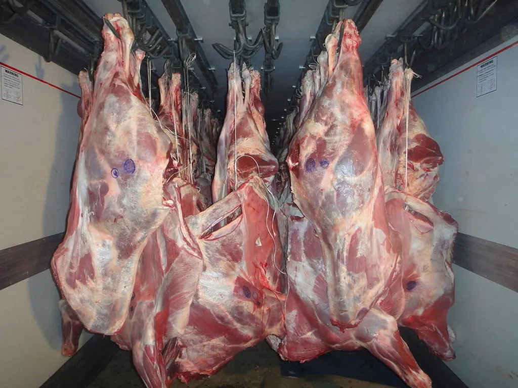 мясо говядина охлажденное, замороженное в Казани
